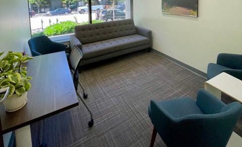 Conversation/Therapy Room