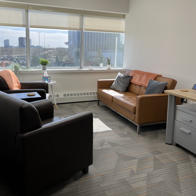 Conversation/Therapy Room