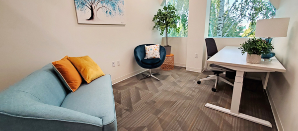 Conversation/Therapy Room