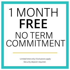 1 MONTH FREE ad in Louisville